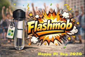 Flashmob 2026
